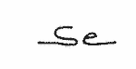 Indiscernible: monogram (Read as: SE)