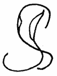 Indiscernible: monogram, symbol or oriental (Read as: SS, JS, SJ)