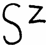 Indiscernible: monogram (Read as: SZ)