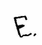 Indiscernible: monogram (Read as: E)