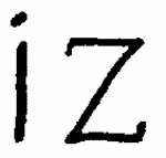 Indiscernible: monogram (Read as: IZ)